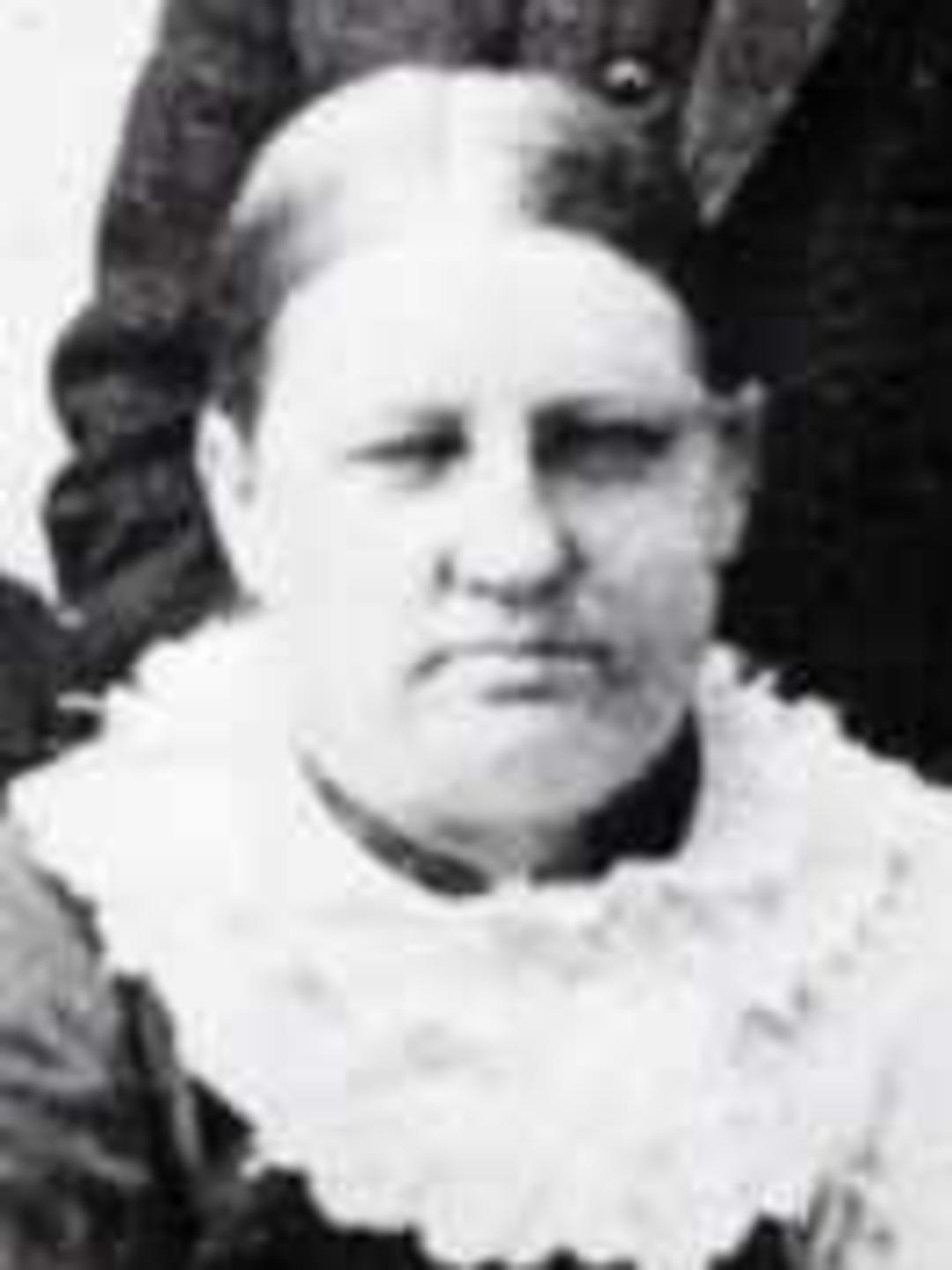Ann Crompton (1846 - 1911) Profile